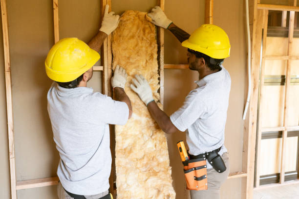 Best Insulation Inspection Services  in Rose Hill, KS