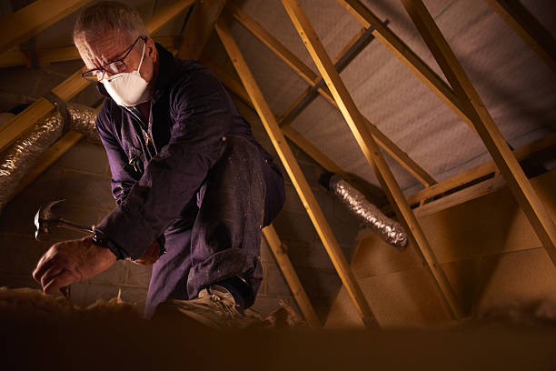 Best Local Insulation Services  in Rose Hill, KS