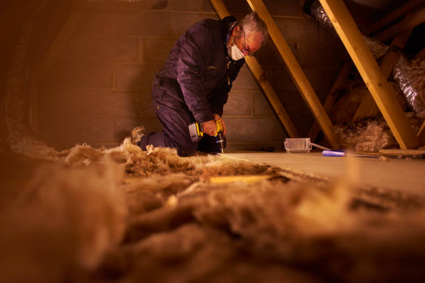 Best Energy-efficient Insulation  in Rose Hill, KS